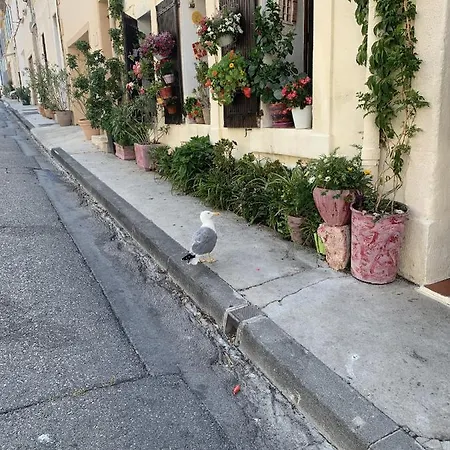 Appartamento Atypique Cosy Entre Terre & Marsiglia